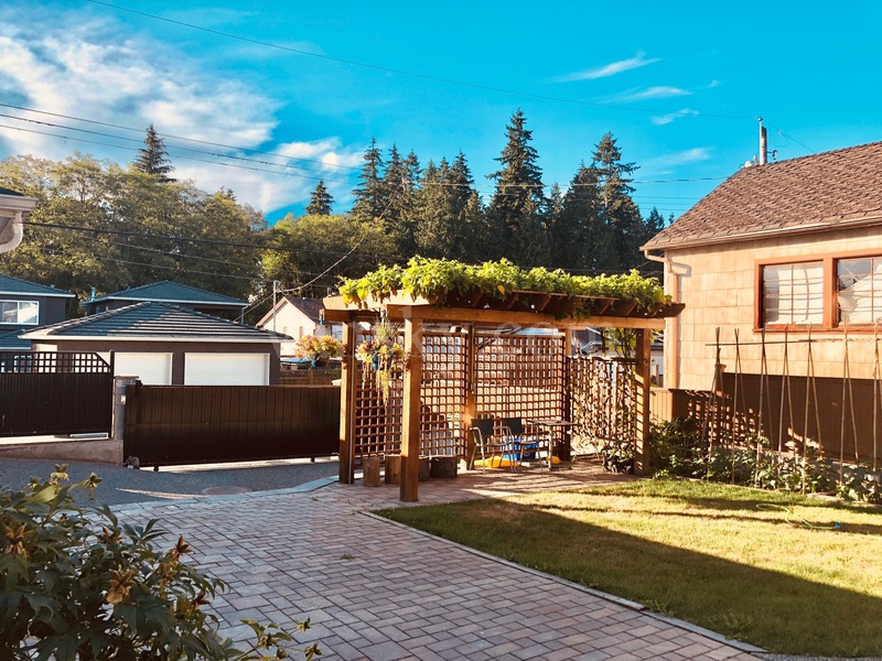 180721142453_New 8061-3-房子后院.JPG